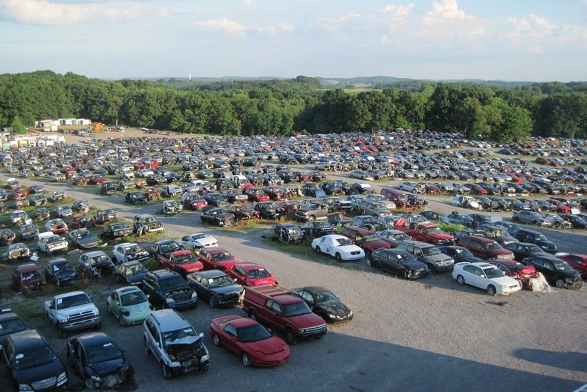 Novak about cars salvage lot