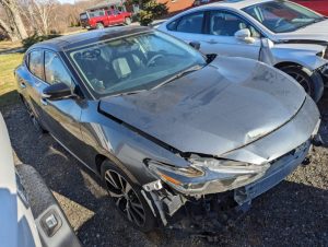 Maxima0