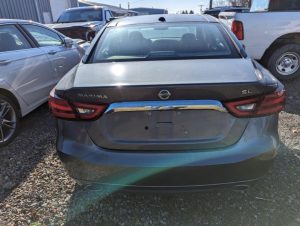 Maxima2