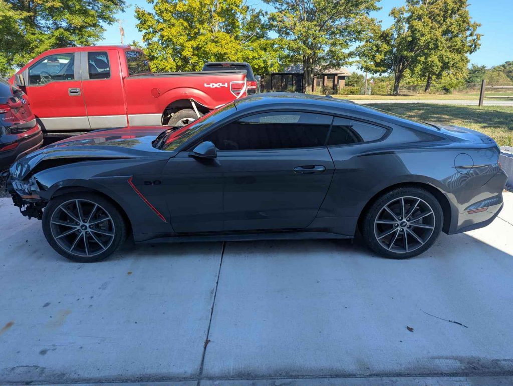 Mustang
