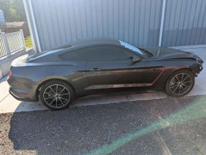 Mustang0
