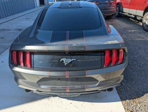 Mustang1